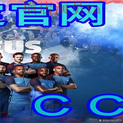 新手必看：世界杯买球网站用户反馈详解 + 世界杯数据